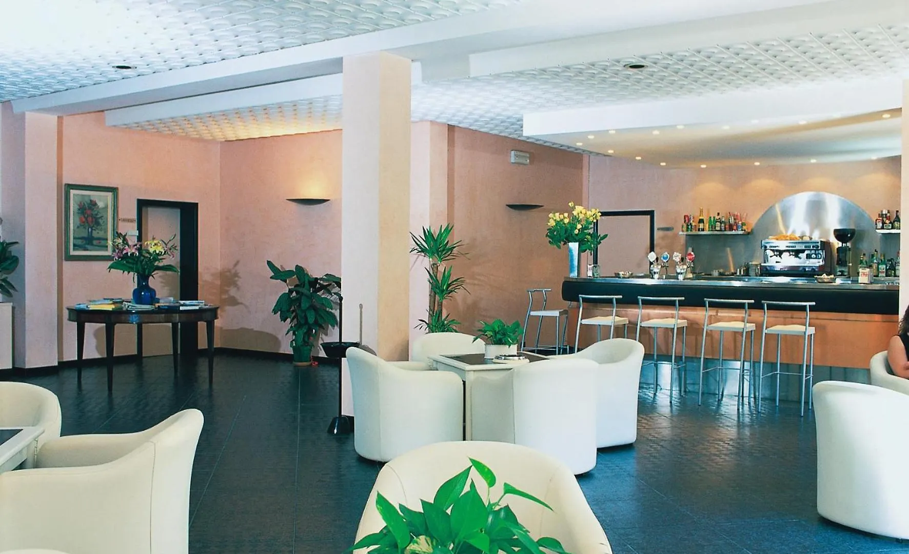 Park Hotel Miriam Gatteo a Mare